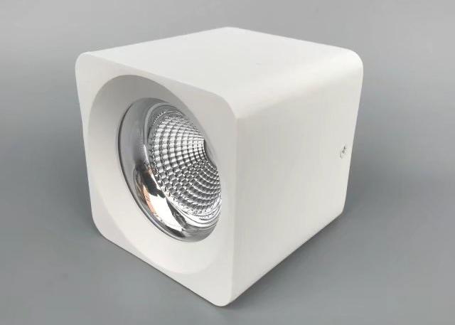 Bâti pur Downlight de surface du blanc LED avec la puce 100 du Cree LED - 240V