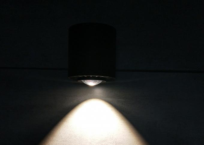 Colonne - lampe de mur extérieure formée de LED utilisée pour l'hôtel/société IP65 20W