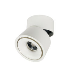Bâti rotatif Downlight de surface de 350 degrés LED avec la puce de l'ÉPI LED fournisseur